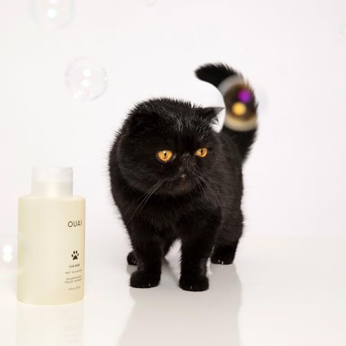 OUAI Fur Bébé Pet Shampoo, Mercer Street Scent - Dog Shampoo and Coat Wash for Hydrating, Cleansing and Adding Shine to Pet Hair