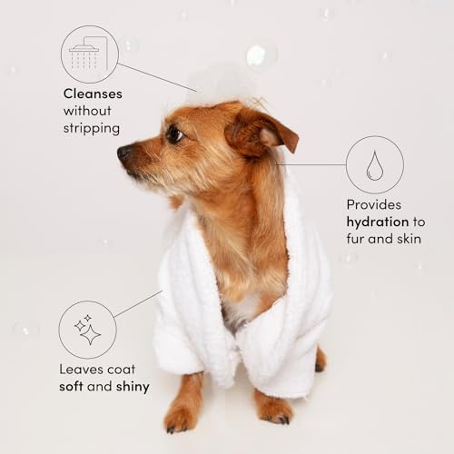 OUAI Fur Bébé Pet Shampoo, Mercer Street Scent - Dog Shampoo and Coat Wash for Hydrating, Cleansing and Adding Shine to Pet Hair