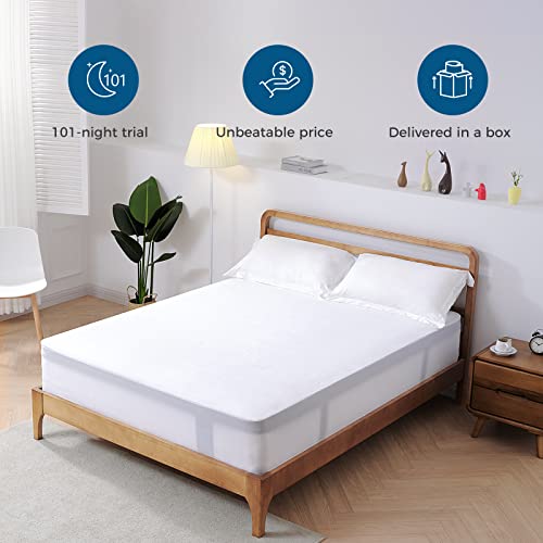 Inofia Twin XL Mattress 12 inch Hybrid Twin XL Size Mattress Cool Bed with Waterproof Rayon Mattress Protector Included