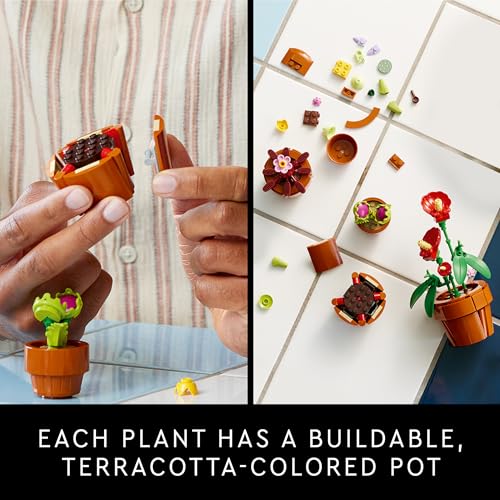 LEGO Icons Tiny Plants - Juego de construcción, idea de regalo de decoración con cactus para amantes de las flores, flora carnívora, tropical y árida, para construir y exhibir, colección botánica, juegos de construcción creativos para adultos, 10329