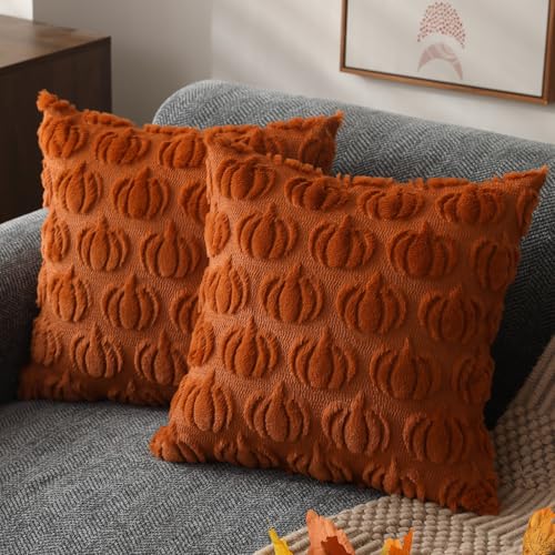 DFXSZ Fall Pillow Covers 18x18 Set of 2 Fall Decorations Autumn Rust Pumpkin Throw Pillow Cases Soft Plush Faux Fur Wool Couch Cushion Case for Chair Sofa Bedroom Living Room Home Decor PTK02A18