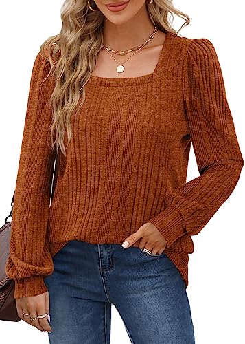 WIHOLL Plus Size Tops for Women Long Sleeve Sweaters Halloween Caramel 3XL