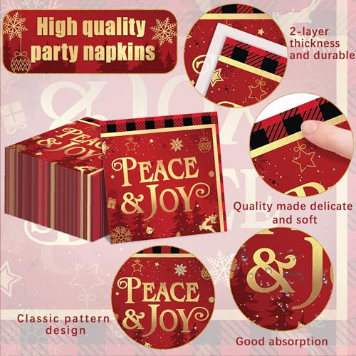 172Pcs Christmas Party Supplies Red and Black Buffalo Plaid Disposable Tableware Set Christmas Plates and Napkins, Plastic Tablecloths, Banners, Cutlery for Christmas Party Decorations