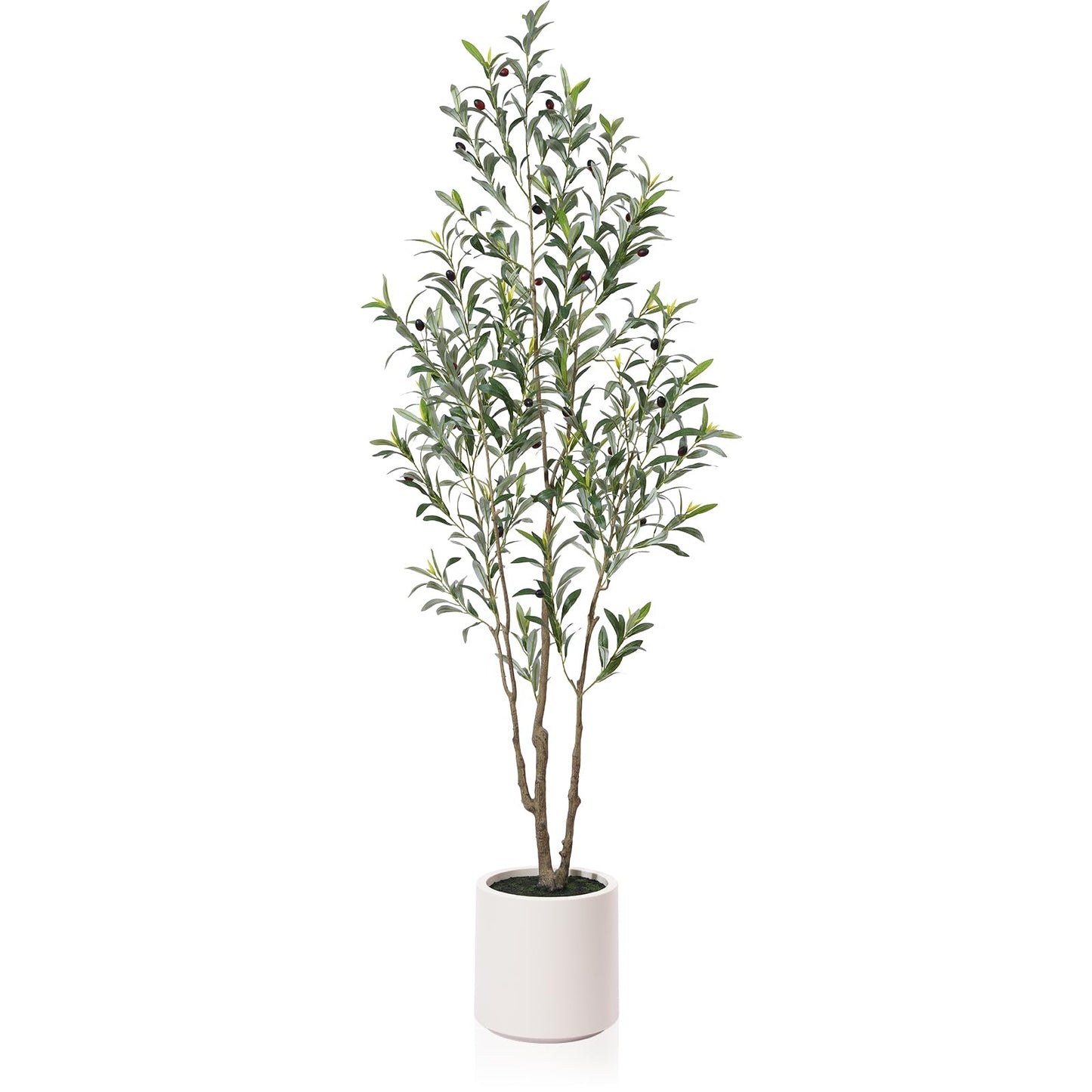 LOMANTO Olivos artificiales, olivos falsos de 6 pies de alto para interiores, árbol de seda de olivo artificial, plantas de olivo grandes con maceta blanca para decoración del hogar y regalo de inauguración de la casa, 1 paquete