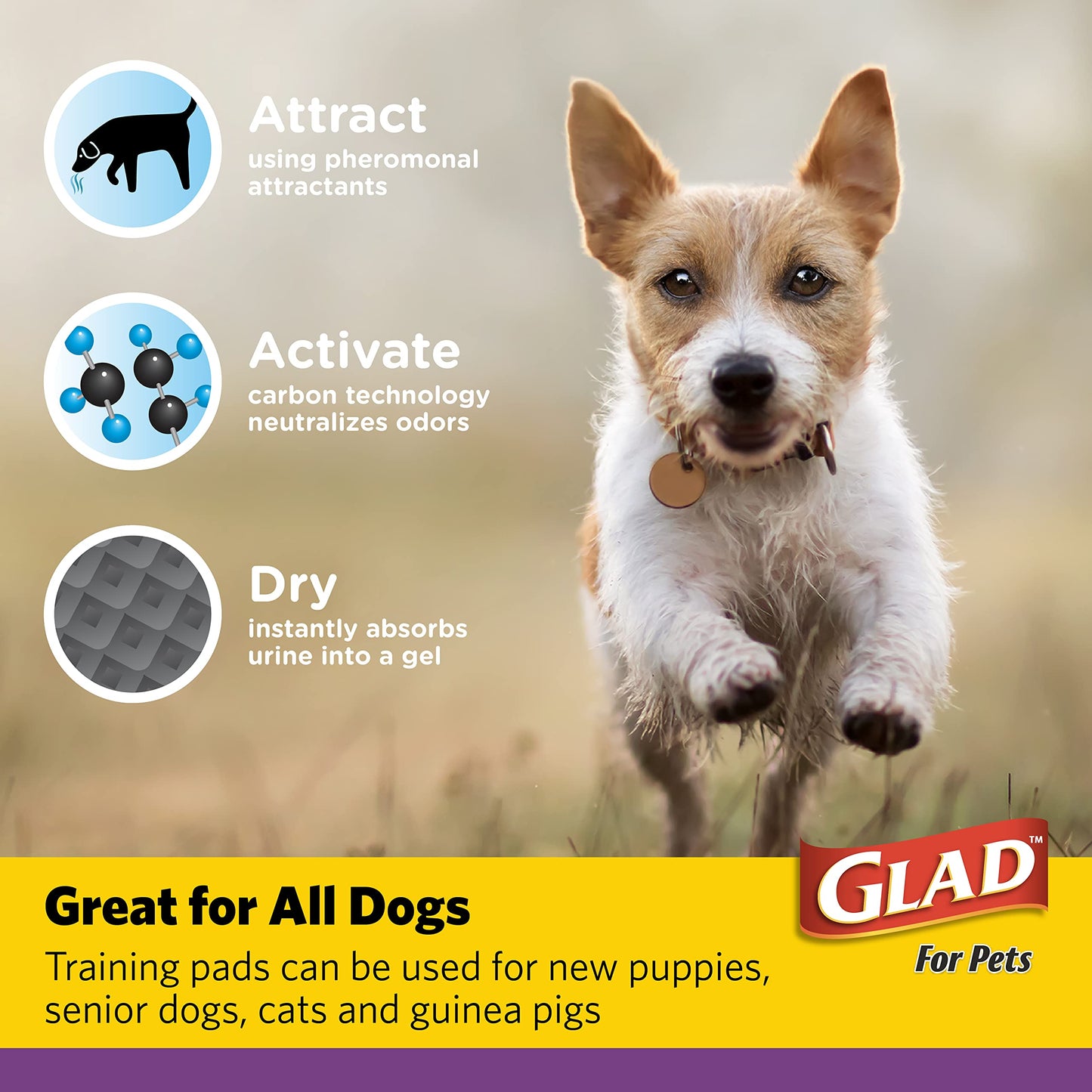 Glad for Pets JUMBO-SIZE Charcoal Puppy Pads | Black Training Pads That ABSORB & Neutralize Urine Instantly